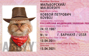 Локальная лицензия ABBYY с производительностью 5 000 страниц