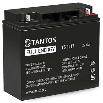 Аккумулятор 12В 17 А∙ч (TS 1217)