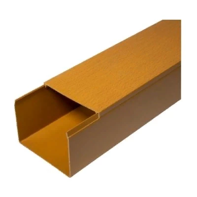 Кабель-канал бук 2-й замок 60х60 мм (24м/уп) (PR.025443)