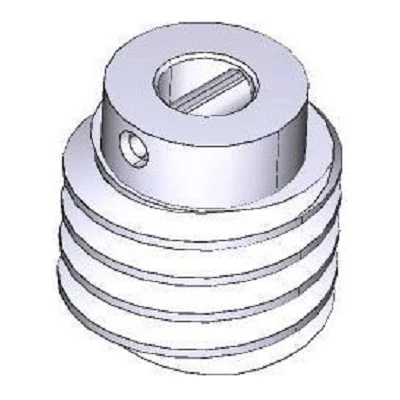 Червяк C100 (119RIC025)