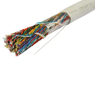 UTP-100P-Cat.5-IN