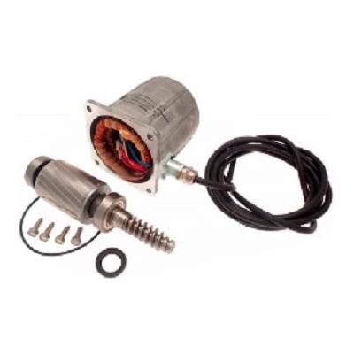 Электродвигатель FROG A24 (119RIA025)