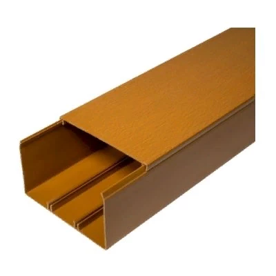 Кабель-канал бук 2-й замок в п/э 100х60 мм (8 м/уп) (PR03.0207)