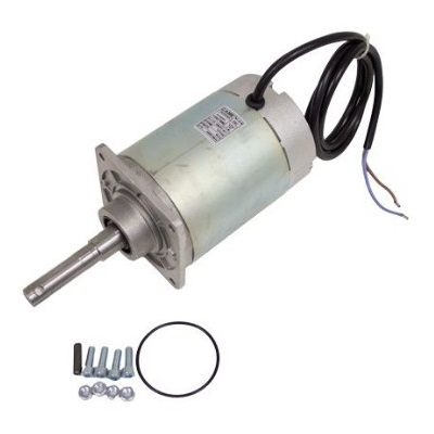 Электродвигатель G4041 в сборе (119RIG186)