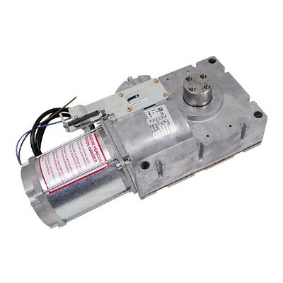 Моторедуктор G4040 G4040I (119RIG198)