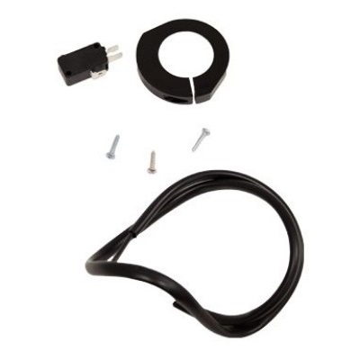 Микровыкл. FERNI в сборе (119RID093)