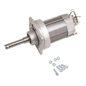 Двигатель для G2500 в сборе (119RIG090)