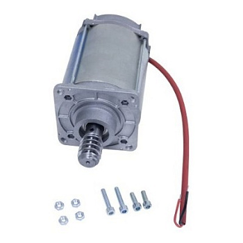 Мотор C-BXE24V в сборе (119RICX040)