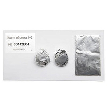 Карта Объекта Iron Logic 1+2