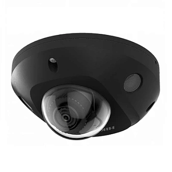 DS-2CD2543G2-IS(2.8mm)(BLACK)