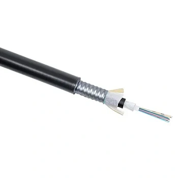 CLT-A-5-01X24-Z-PE-ARM-PE-DD-OUT-40