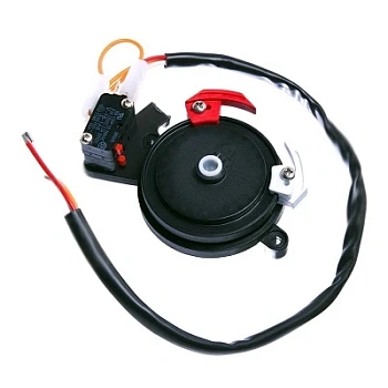 Концевые микровыключатели в сборе BX-243 (119RIBX041)