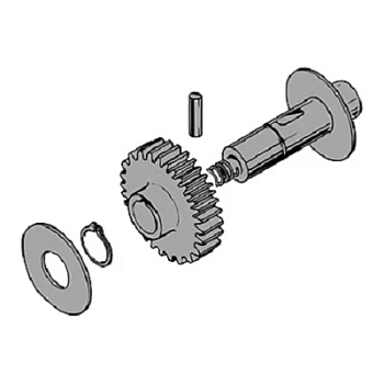 Вал в сборе C100 (119RIC011)