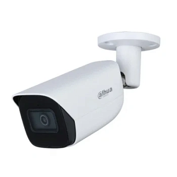 DH-IPC-HFW3441EP-S-0600B-S2