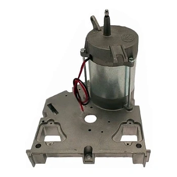 Электродвигатель F7024 с крышкой редуктора (119RID239)