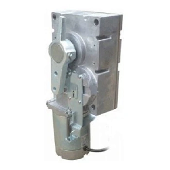 Моторедуктор G2081 G2081I (119RIG197)