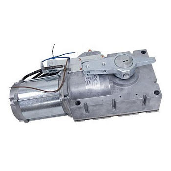 Моторедуктор G4000 G4000I (119RIG194)