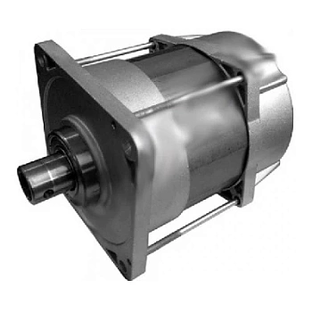 Электродвигатель E1024 (119RIE072)