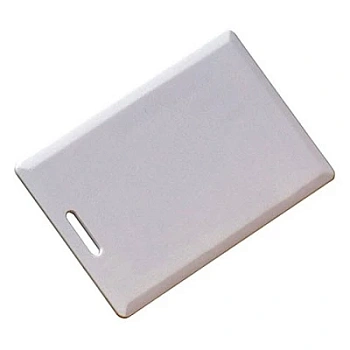 Temic (толстая) TS