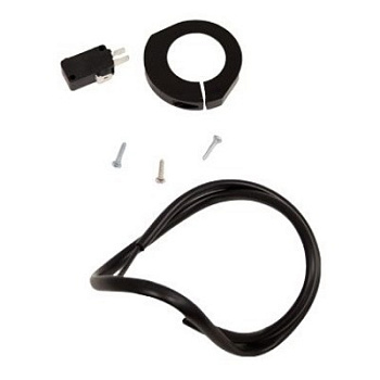 Микровыкл. FERNI в сборе (119RID093)